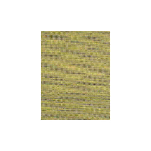 WINFIELD THYBONY - WIW2541 - NEGRIL - Wallpaper By the Yard