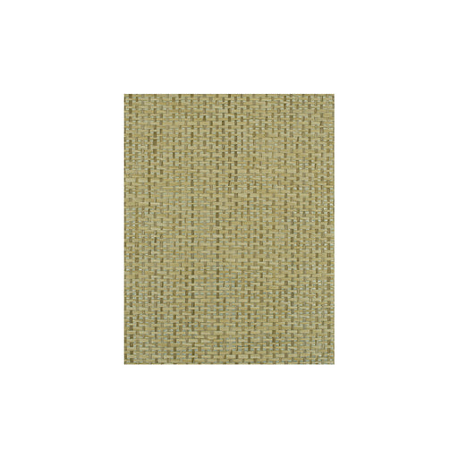 WINFIELD THYBONY - WIW2555 - PLAYA - Wallpaper By the Yard