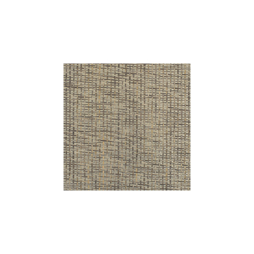 WINFIELD THYBONY - WIW2557 - PLAYA - Wallpaper By the Yard