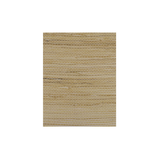 WINFIELD THYBONY - WIW2565 - CORENWALL - Wallpaper By the Yard