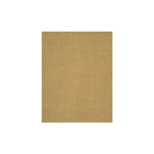 WINFIELD THYBONY - WIW2570 - FERNWOOD - Wallpaper By the Yard