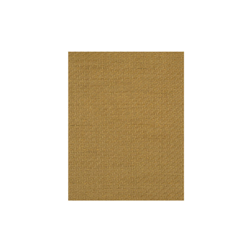 WINFIELD THYBONY - WIW2571 - FERNWOOD - Wallpaper By the Yard