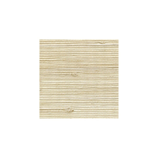 WINFIELD THYBONY - WNR1123 - Wallpaper By the Yard