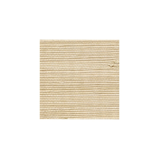 WINFIELD THYBONY - WNR1186 - Wallpaper By the Yard