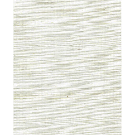 WINFIELD THYBONY - WNR2022 - CHIYO SISAL - Wallpaper By the Yard