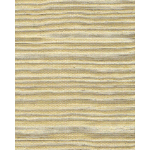 WINFIELD THYBONY - WNR2063 - CHIYO SISAL - Wallpaper By the Yard