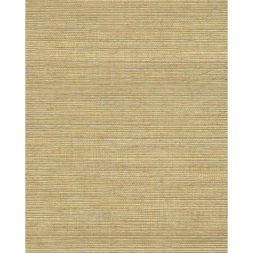 WINFIELD THYBONY - WNR2065 - CHIYO SISAL - Wallpaper By the Yard