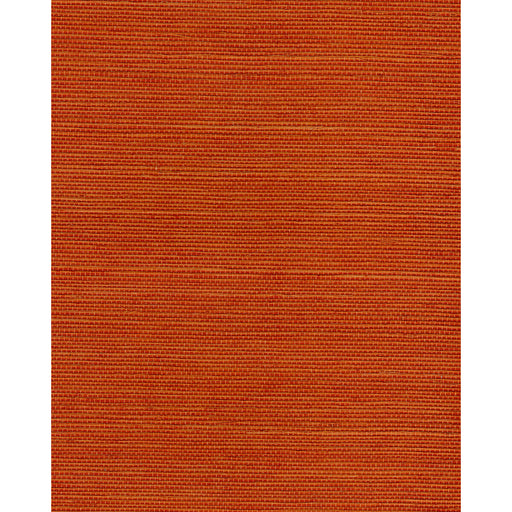 WINFIELD THYBONY - WNR2070 - CHIYO SISAL - Wallpaper By the Yard