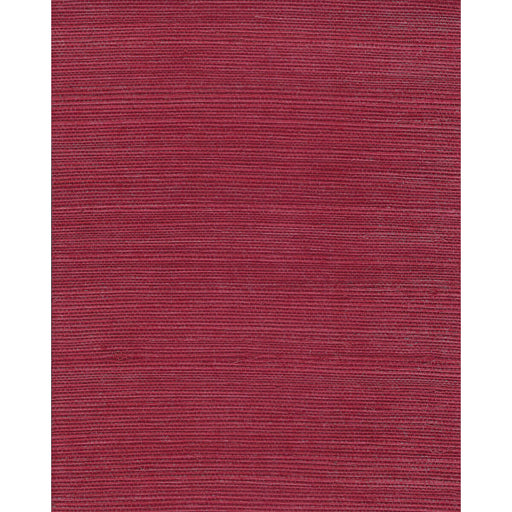 WINFIELD THYBONY - WNR2089 - CHIYO SISAL - Wallpaper By the Yard