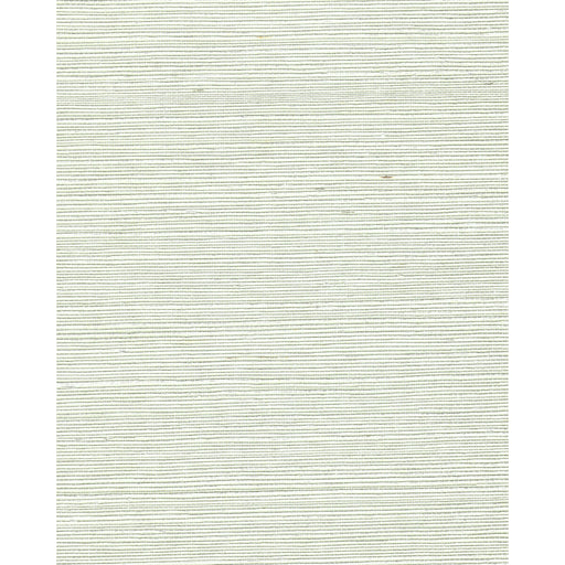 WINFIELD THYBONY - WNR2105 - CHIYO SISAL - Wallpaper By the Yard