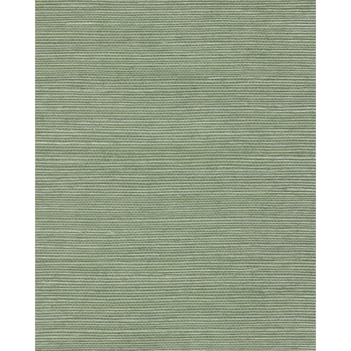 WINFIELD THYBONY - WNR2110 - CHIYO SISAL - Wallpaper By the Yard