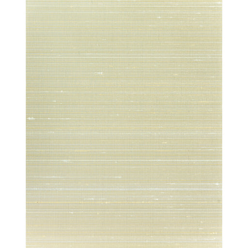 WINFIELD THYBONY - WNS5518 - LENA - Wallpaper By the Yard