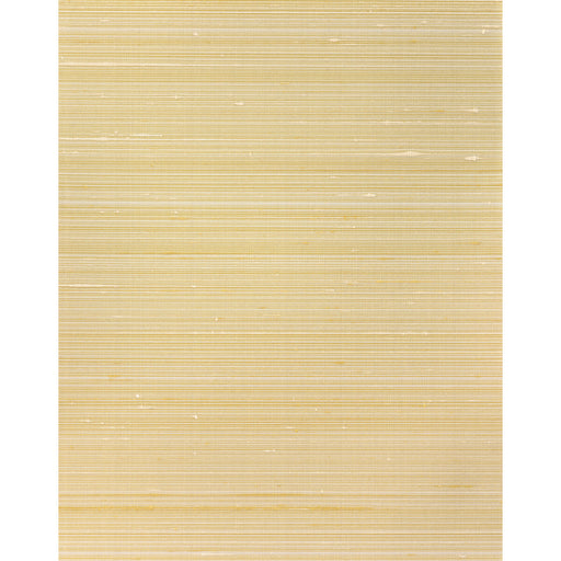 WINFIELD THYBONY - WNS5526 - GRAYSON - Wallpaper By the Yard