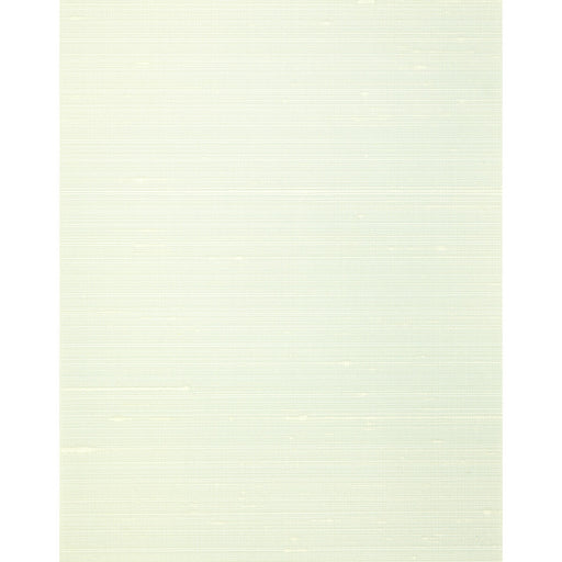 WINFIELD THYBONY - WNS5548 - MISHEO - Wallpaper By the Yard