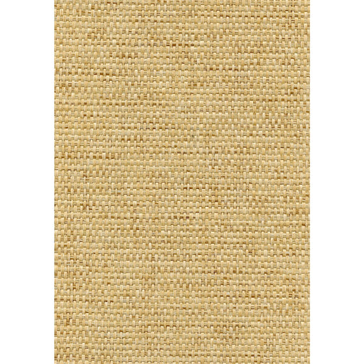 WINFIELD THYBONY - WNW2219 - ROSETTE WEAVE - Wallpaper By the Yard