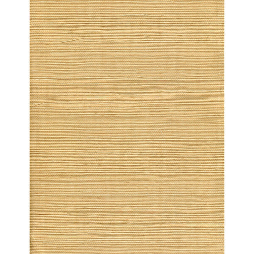 WINFIELD THYBONY - WNW2235 - SOLO SISAL - Wallpaper By the Yard