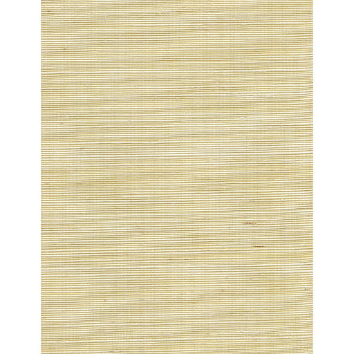 WINFIELD THYBONY - WNW2247 - ACAPELLA - Wallpaper By the Yard