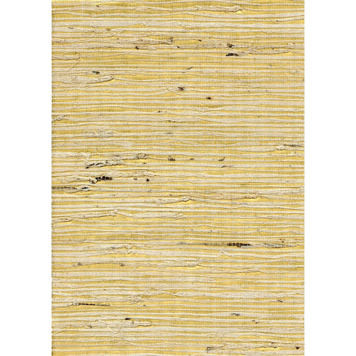 WINFIELD THYBONY - WNW2259 - CONCERTO - Wallpaper By the Yard