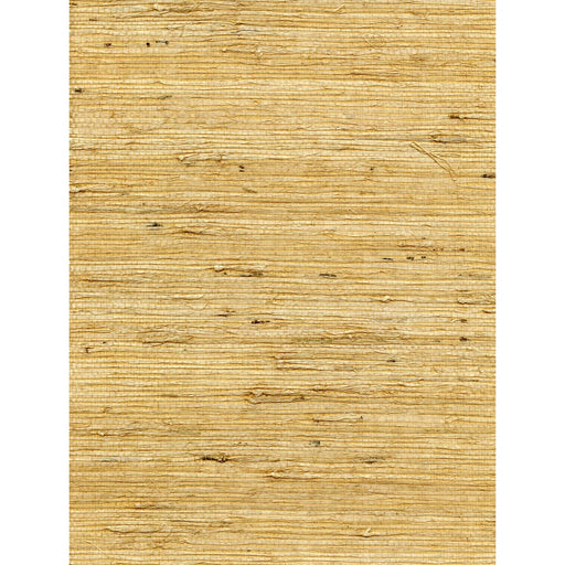 WINFIELD THYBONY - WNW2260 - CONCERTO - Wallpaper By the Yard