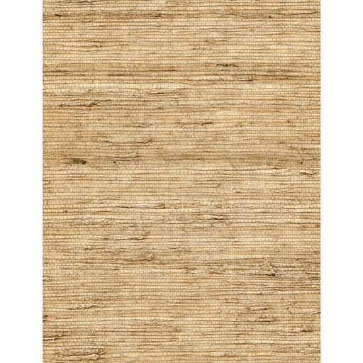 WINFIELD THYBONY - WNW2262 - CONCERTO - Wallpaper By the Yard