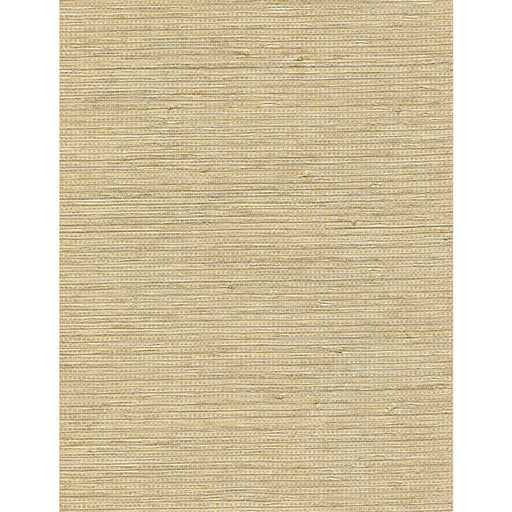 WINFIELD THYBONY - WNW2271 - ALLEGRIA - Wallpaper By the Yard