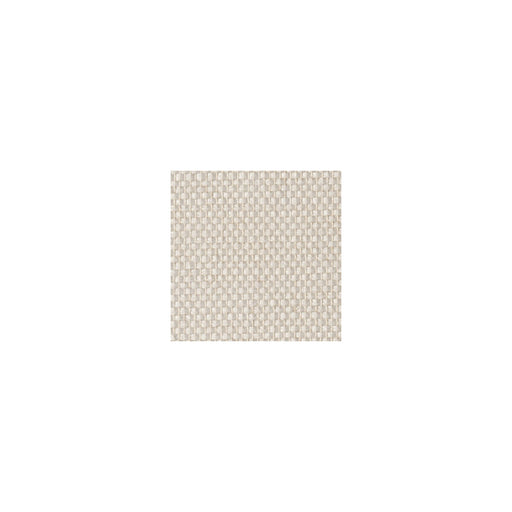 WINFIELD THYBONY - WOC2434 - PAPERWEAVE - Wallpaper By the Roll