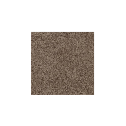 WINFIELD THYBONY - WPW1120 - ENDURING - Wallpaper By the Yard