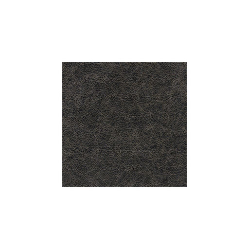 WINFIELD THYBONY - WPW1135 - ENDURING - Wallpaper By the Yard