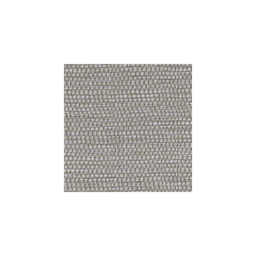 WINFIELD THYBONY - WPW1147 - PANAMA - Wallpaper By the Yard