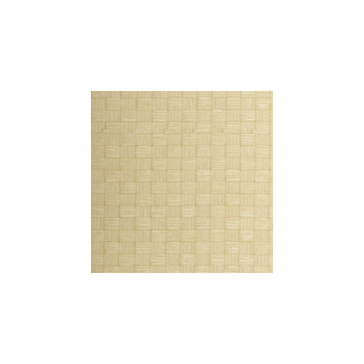 WINFIELD THYBONY - WSE1234 - WINFIELD THYBONY - Wallpaper By the Yard