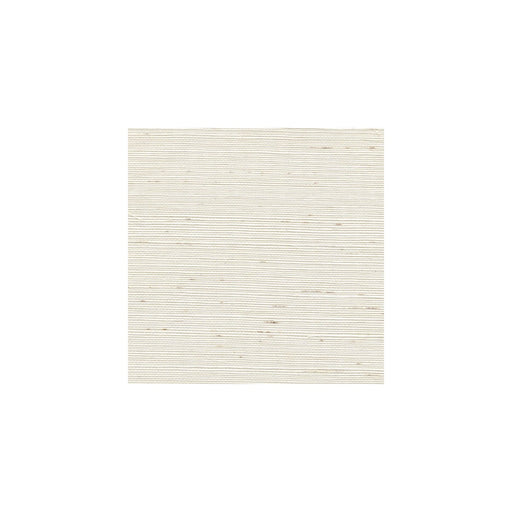 WINFIELD THYBONY - WSS4518 - SISAL - Wallpaper By the Yard
