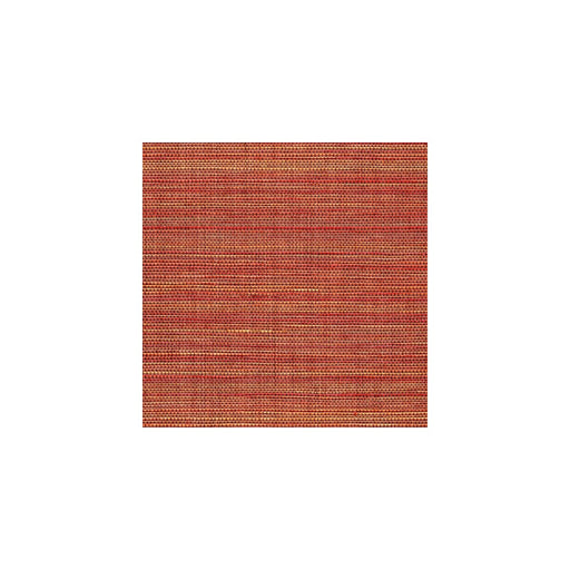 KRAVET COUTURE - 4549 - SYNERGY - Fabric By the Yard