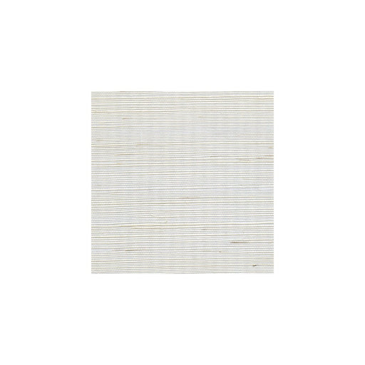 WINFIELD THYBONY - WSS4567 - METALLIC SISAL - Wallpaper By the Yard