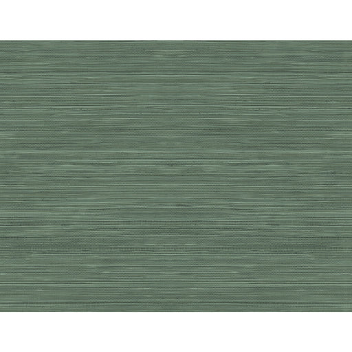 WINFIELD THYBONY - WTK15328 - GRASSCLOTH TEXTURE - Wallpaper By the Yard