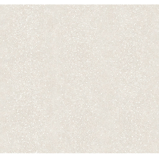 WINFIELD THYBONY - WTP4006 - RAY - Wallpaper By the Roll