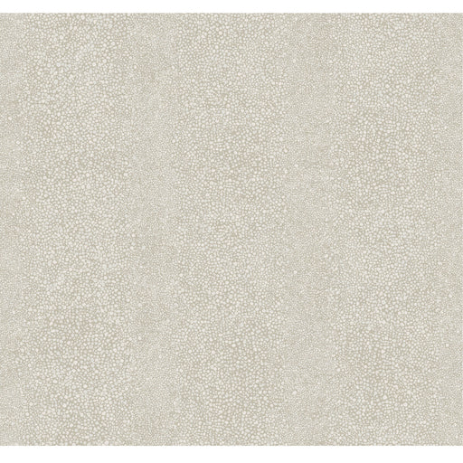 WINFIELD THYBONY - WTP4007 - RAY - Wallpaper By the Roll