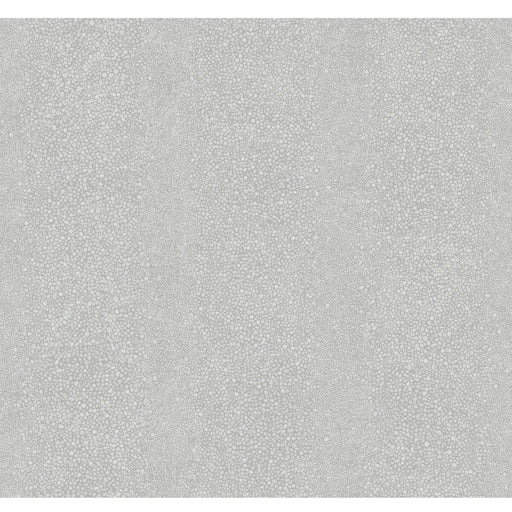 WINFIELD THYBONY - WTP4008 - RAY - Wallpaper By the Roll