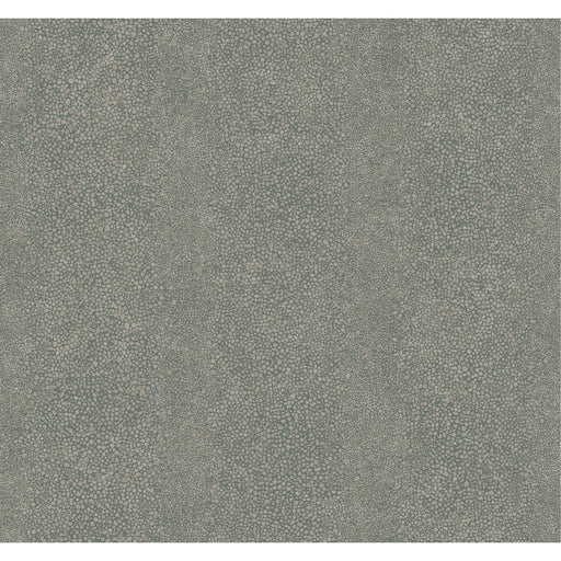 WINFIELD THYBONY - WTP4009 - RAY - Wallpaper By the Roll