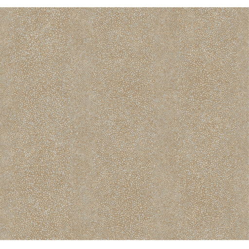 WINFIELD THYBONY - WTP4010 - RAY - Wallpaper By the Roll