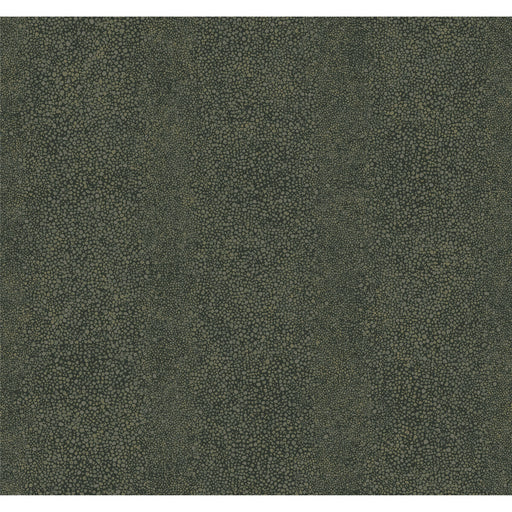 WINFIELD THYBONY - WTP4011 - RAY - Wallpaper By the Roll