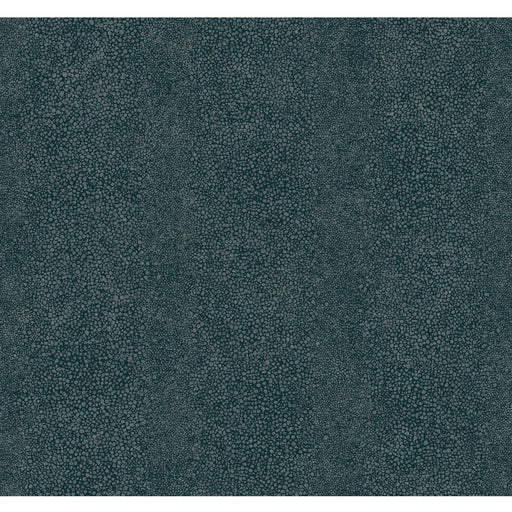 WINFIELD THYBONY - WTP4012 - RAY - Wallpaper By the Roll