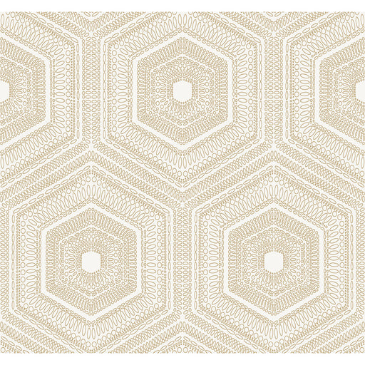 WINFIELD THYBONY - WTP4035 - CONCENTRIC GROOVE - Wallpaper By the Roll