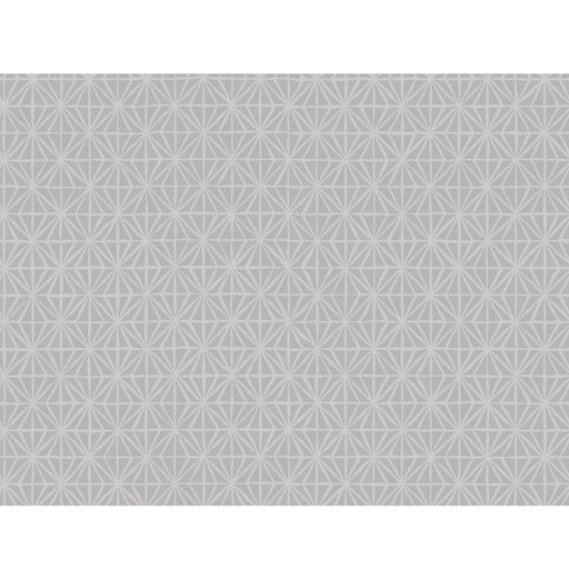 WINFIELD THYBONY - WTP4045 - SEGUE - Wallpaper By the Roll