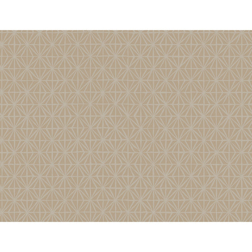WINFIELD THYBONY - WTP4048 - SEGUE - Wallpaper By the Roll