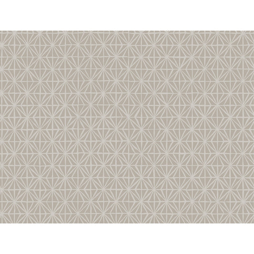 WINFIELD THYBONY - WTP4049 - SEGUE - Wallpaper By the Roll