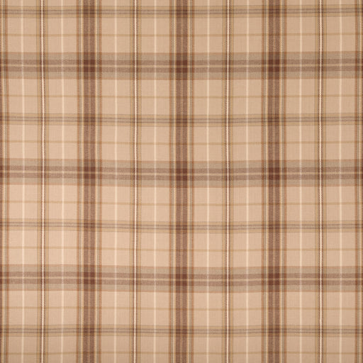 Winthrop - Driftwood - 29 Park - Fabric by the Yard