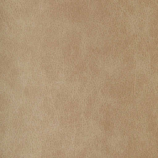 KRAVET DESIGN - KRAVET DESIGN- ZENON-11 - Fabric by the Yard ZENON-11