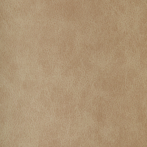 KRAVET DESIGN - KRAVET DESIGN- ZENON-11 - Fabric by the Yard ZENON-11