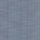 ZOOK - BLUE - Mag Fabrics - Fabric By The Yard