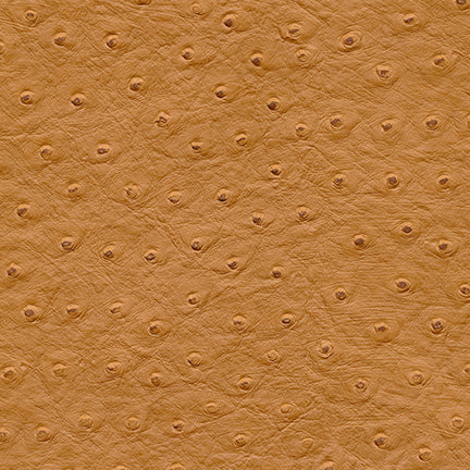 Maxwell Fabrics - TWITTER-NJ - Fabric by the Yard - Samples Available Upon Request - MFS-01115